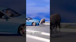 What to do if a deer runs out onto the road? #car #auto #driver What to do if a deer runs out onto the road? #car #auto #driver
