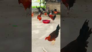 Chalo ek game khelte Hain location tumhara time tumhara