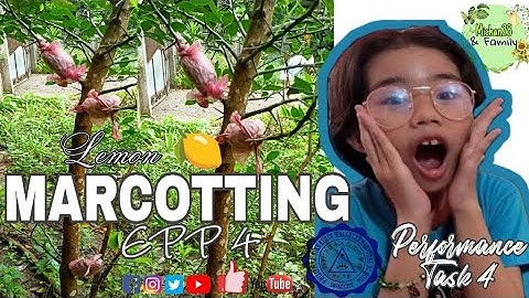 MARCOTTING / EPP 4 (PERFORMANCE TASK)