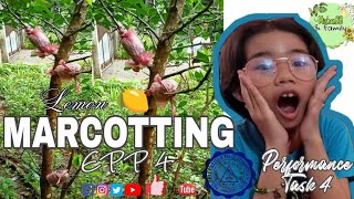 MARCOTTING / EPP 4 (PERFORMANCE TASK) Profile