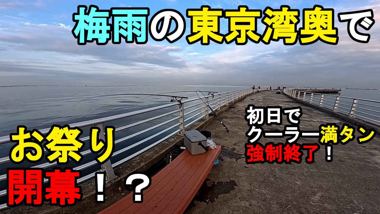 【千葉県某所】梅雨の東京湾奥でお祭り開幕！？クーラーBOX満タンで強制終了！春の終わりの時期に、関東地方の東京湾に面している北部辺りの釣り場で、釣り餌の検証をしてみたら…！【2026年6月中旬】