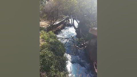 القارئ عبد السلام السباعي  سورة ص