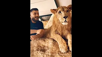 اغنيه في بعدك انا دبلان الاغنيه جميله جداجدا والاسد يجنن 