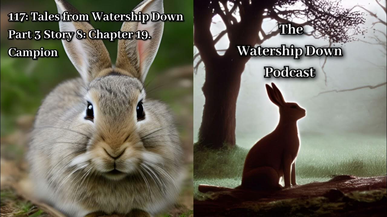 117 Tales from Watership Down Part 3 Story 8 Chapter 19. Campion
