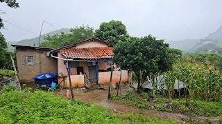 Um incrível lugar rico de chuva na paraiba ⛈️é assim chove direto ⛈️