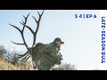 Season 4 Episode 6 - BIG 7x7 bull down! Late-season elk hunting