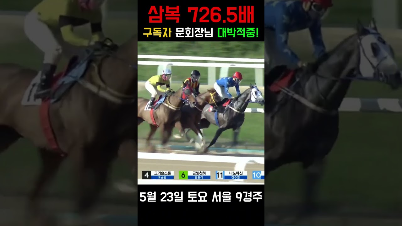 삼복 726.5배 실화 🎯부산 마이다스실 문회장님 함께 대박 적중! 축하!💥노빠꾸와 함께면 당신도 대박 적중!🎯0523 서울 9경주💥#경마 #경마적중 #고배당 #쇼츠 #서울경마적중