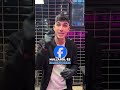 Tiktok videók cégednek a legmagasabb szinten?🎬 Írj egy e-mailt nekünk és dolgozzunk együtt!📲