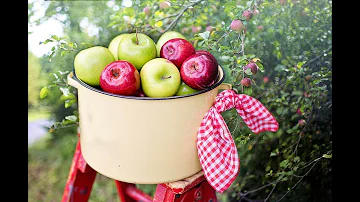 ¿Por qué la compota de manzana ayuda con la diarrea?