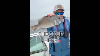 Fishing for Porgy AKA Scup at Cape Cod