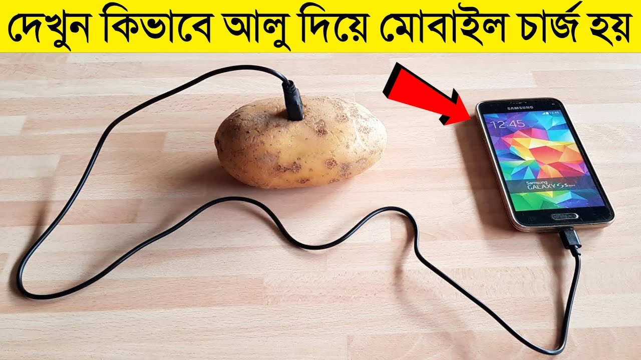 আলু দিয়ে বিদ্যুৎ তৈরি😱| এমনই কিছু এক্সপেরিমেন্ট দেখে আপনারা অবাক হয়ে যাবেন | Amazing Experiments