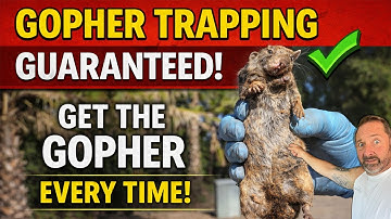 Gopher Trapping GUARANTEED | How to Catch Gophers Every Time (Pro Method)