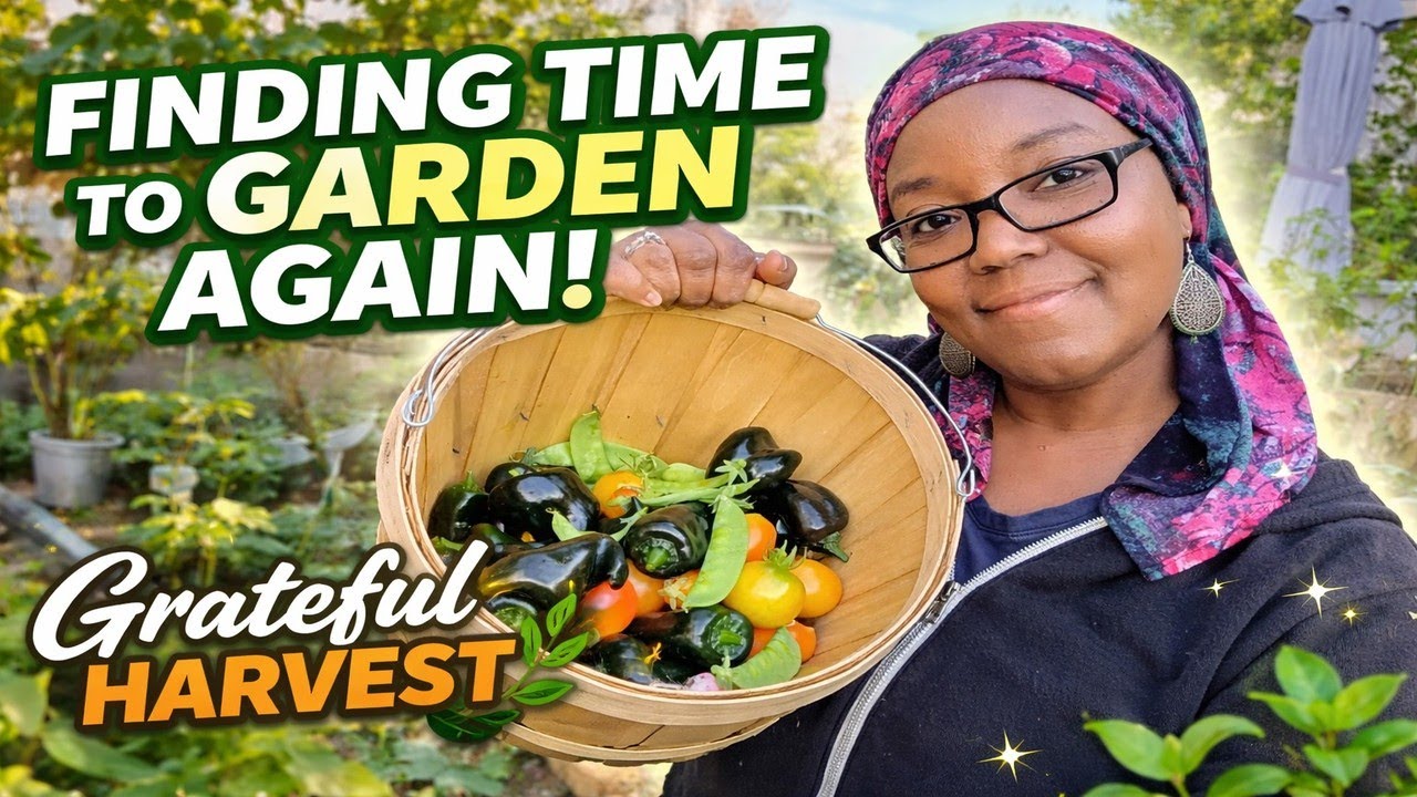 Жизнь стала насыщенной… Но сад всё равно щедро делился урожаем 🌱 | Благодарность за урожай