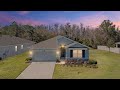 2873 Storybrook Preserve Dr, Odessa, FL
