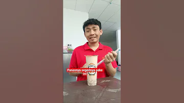Nyammi 