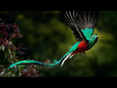 Reconnectez-vous à la nature