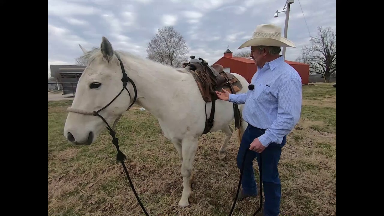 How to properly put your saddle on your horse western style. YouTube