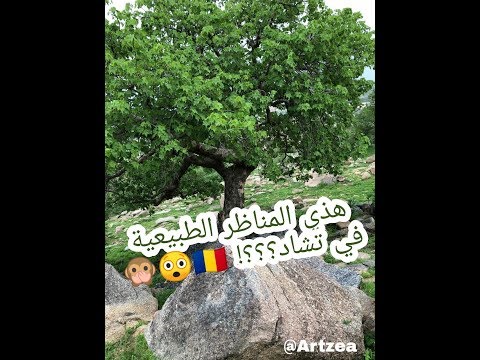 لن تصدق هذا في دولة تشاد You Will Not Believe This Is In Chad Country