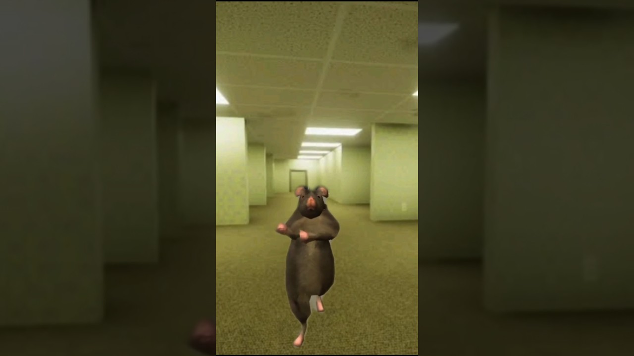 Rat dance backroom 360º