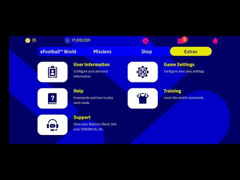 როგორ დავაყენოთ საქართველოს დროშა?