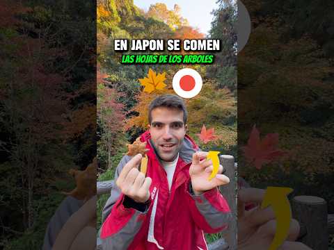 Las hojas de Otoño se comen en Japón🍁😋#japon #viajes #curiosidades #comida