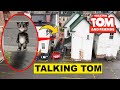 Drone catches talking tom in a creepy alley you wont believe this  real talking tom