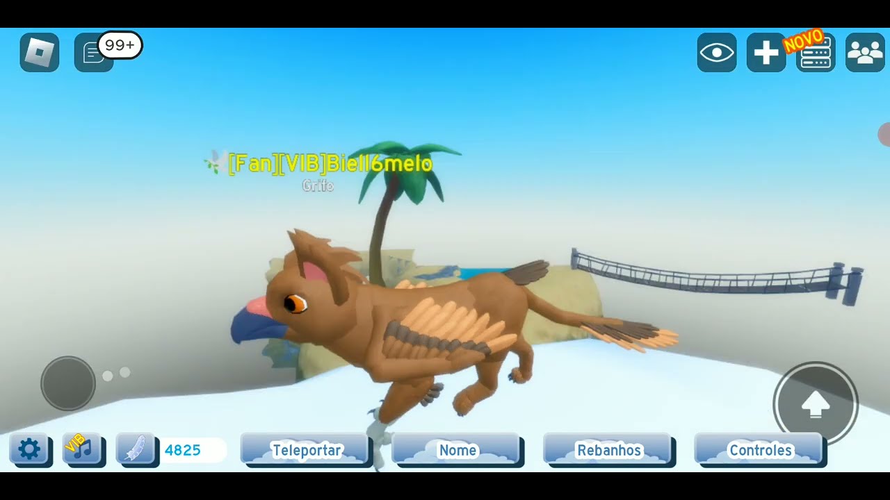 Novo Grifo no Feather Family!!!! (e outros pássaros também(🐦🐦🐦 )