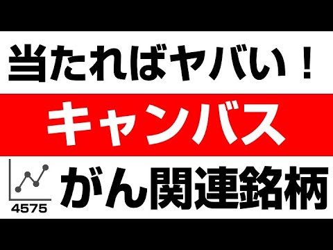 初心者でもわかる！キャンバス（4575）の株式・企業分析
