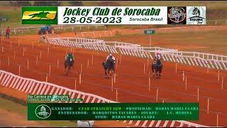 CZAR STRAIGHT JQM - 6ta carrera en Sorocaba CONSOLACVION MEGA RACE 402 Mts.