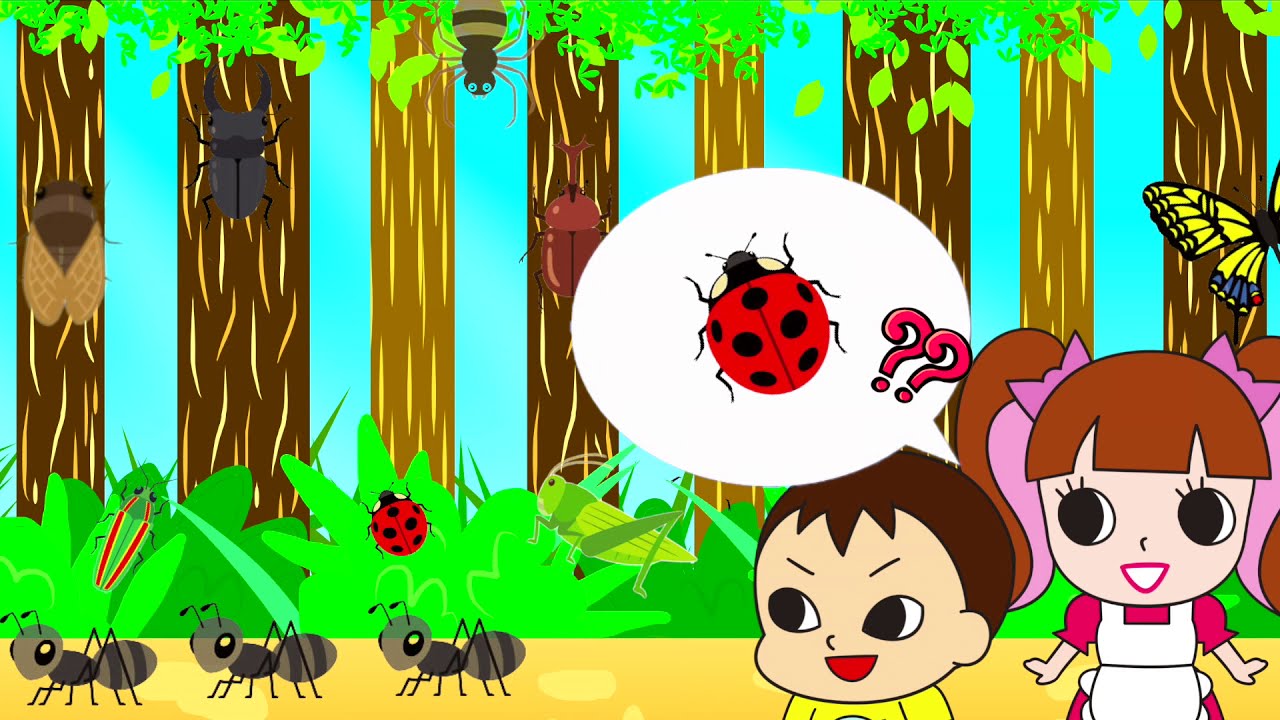 ⁣【昆虫アニメ】森の生き物を観察しよう！