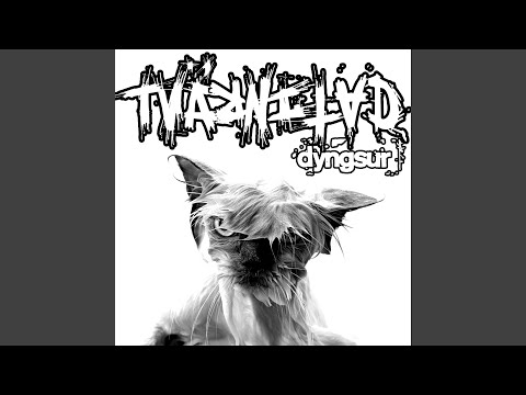 在 YouTube 上觀看「Dunder & dån」