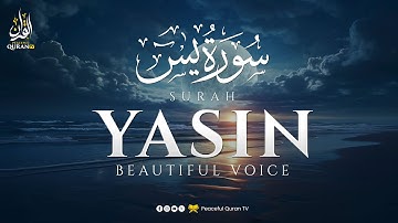 Peaceful Surah Yasin (Yaseen) سورة يس | This Voice Will TOUCH Your HEART | Peaceful Quran TV