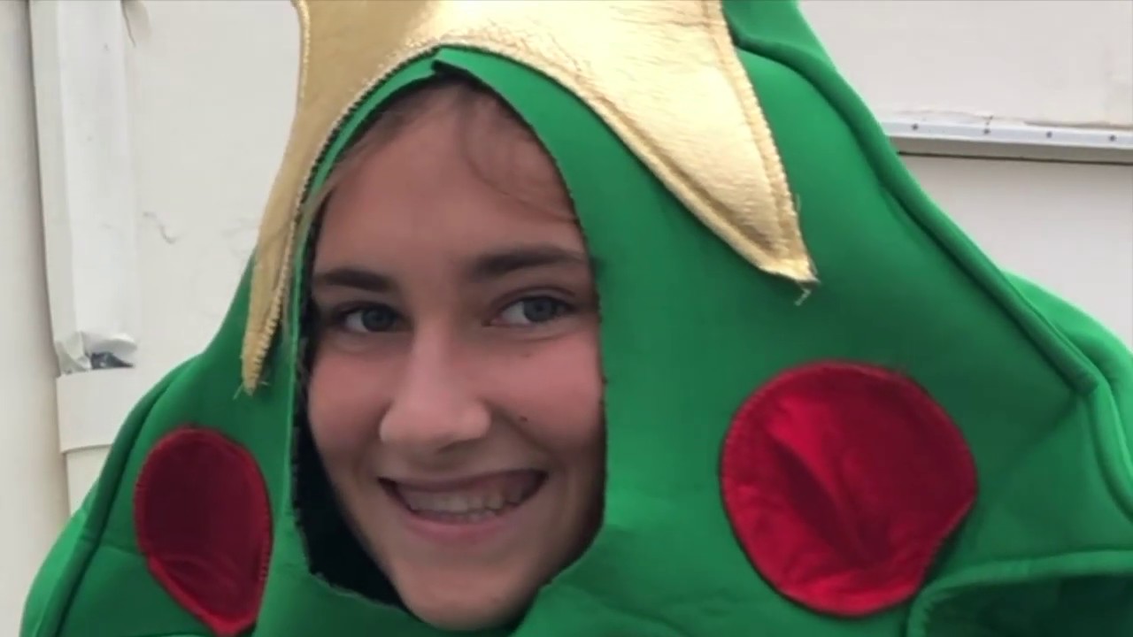 i wore a christmas tree costume to school