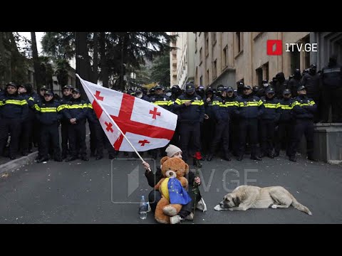 აქცია პარლამენტთან - ოპოზიციის გეგმები