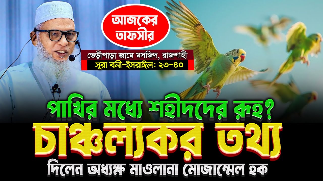 আজকের তাফসীরে নতুন চাঞ্চল্যকর তথ্য দিলেন - অধ্যক্ষ মাও. মোজাম্মেল হক | Mozammel Haque Barisal Tafsir