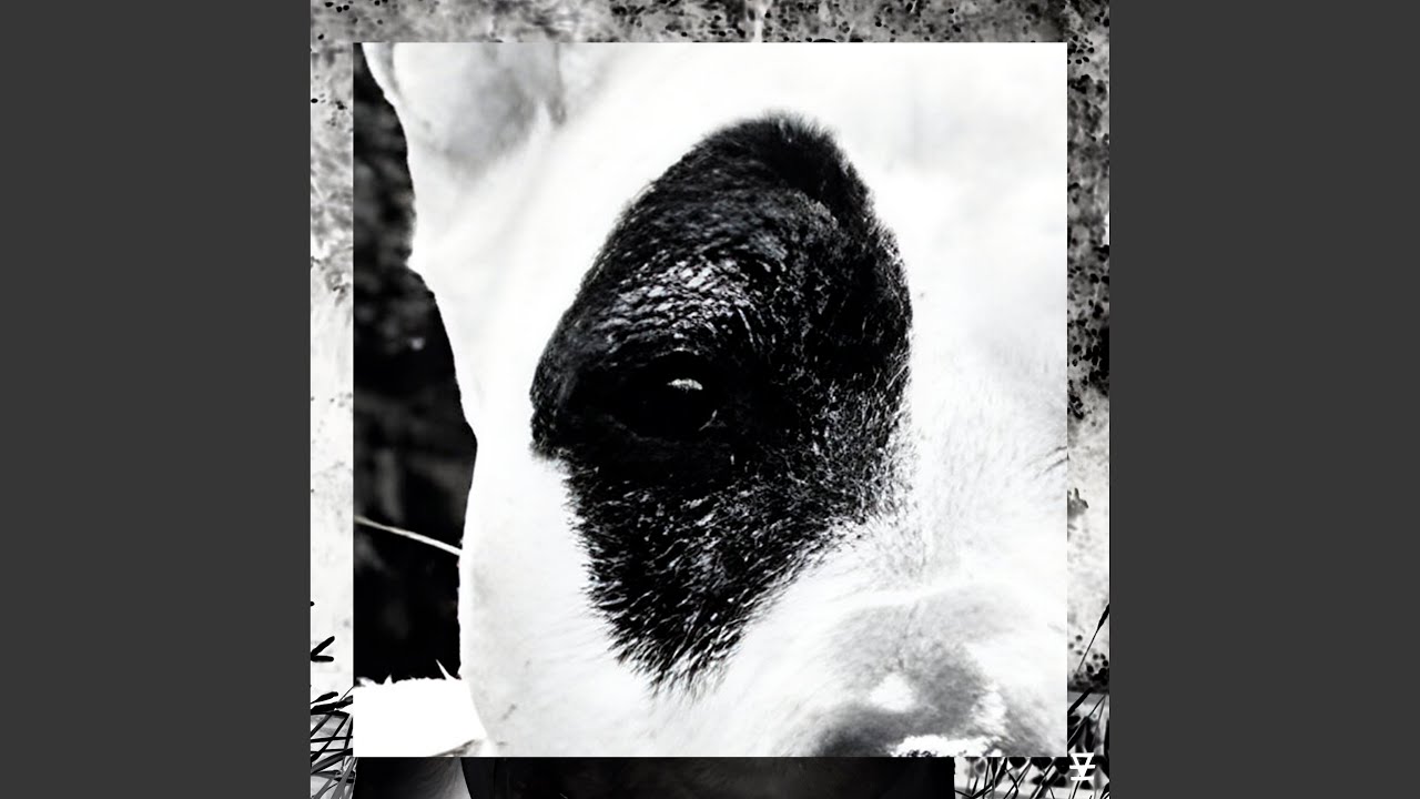 Mira Thug en YouTube Mira Thug en YouTube