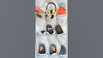 Closet Space Saving Hacks You Need! #lifehacks  #busylifehacks  #busylifestyle