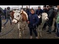 МОЛБОЗОРИ ТУРСУЕНЗОДА НАРХИ ГНОЖИН МОЛИ ШИРТЕ ГУСАЛАДОР ОЧА БАЧА 21-02-2021