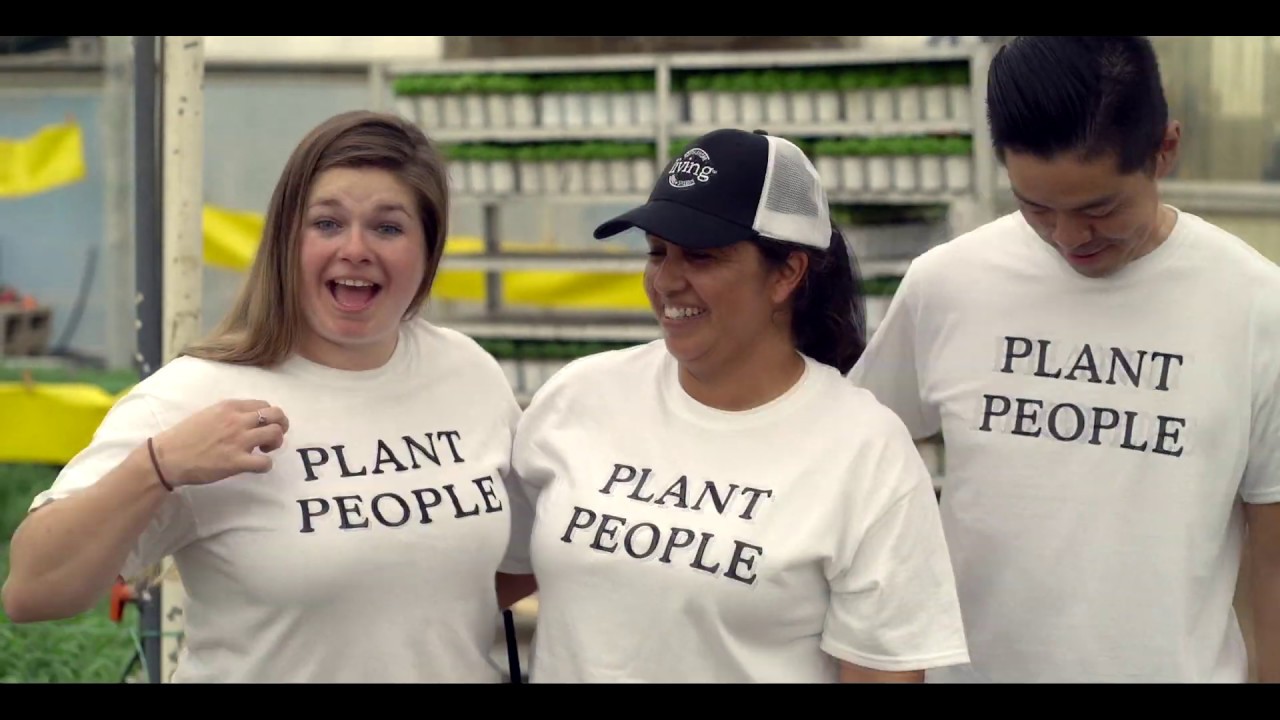 Local Grower North Shore Living Herbs [FULL VIDEO]