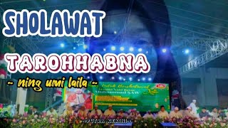 SHOLAWAT || TAROHHABNA || -ning umi laila-suaranya Bikin candu
