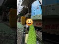 【おつかい】ラジコンに「ゴーヤー」買いに行かせた末路www