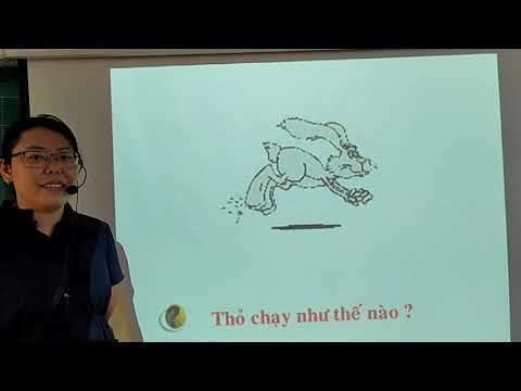 LTVC 2 Tuần 23 Từ ngữ về muông thú Đặt và trả lời câu hỏi Như thế nào?