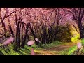 20917 オ ルナイトで朝帰り 三浦弘とハニ シックス