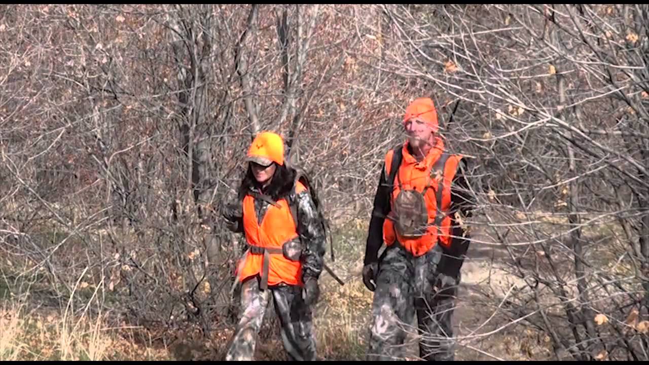 Hunting on the Forest - YouTube