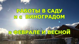 Работы в саду и с виноградом в феврале и весной