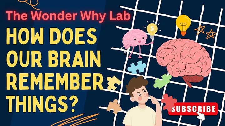 Science for Kids: How Does Our Brain Remember Things? | The Wonder Why Lab