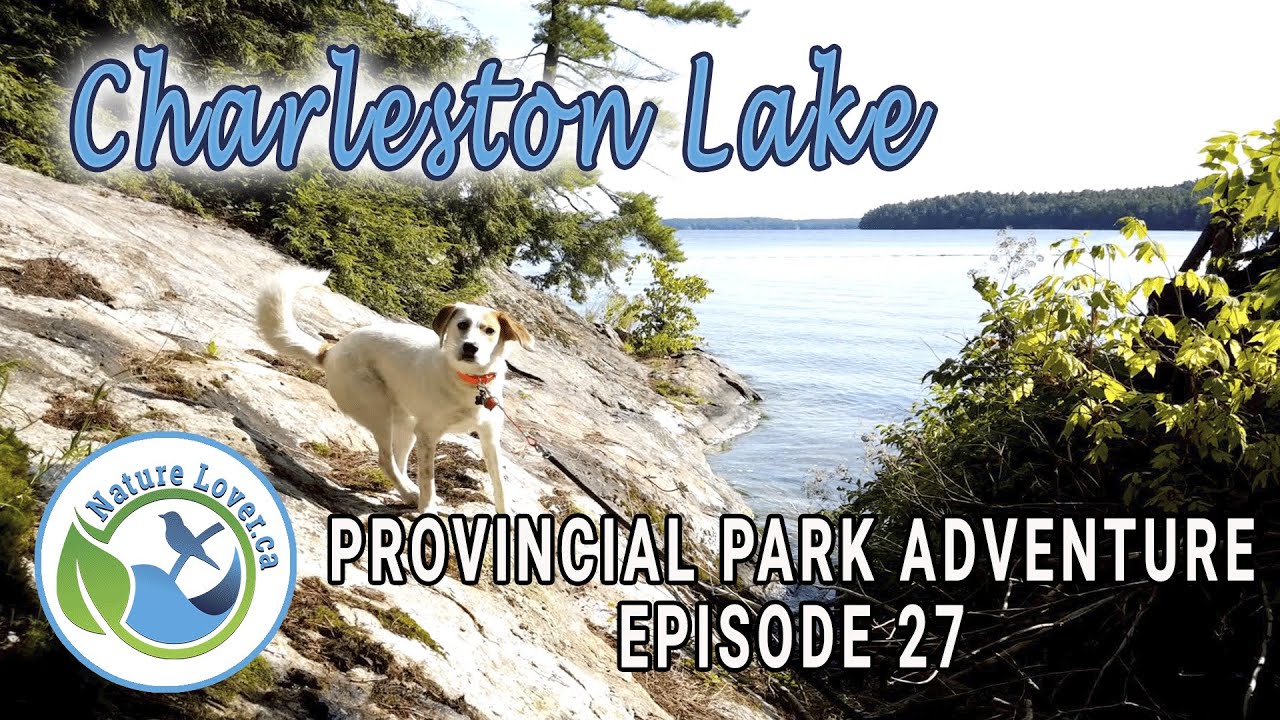 Provincial Park Adventure - Sandstone Island Trail - Charleston Lake - Ep 27