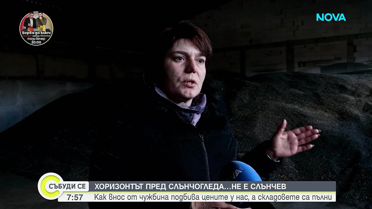 Защо хоризнотът на слънчогледа у нас не е слънчев