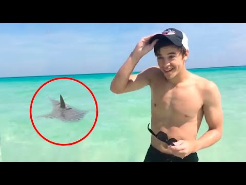 Видео: Пугающая Все Тьма вокруг: Акула