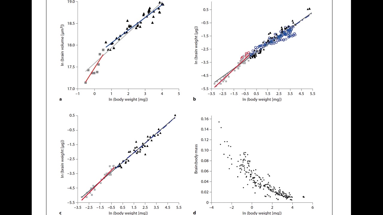 The Allometry of brain miniaturization in ants